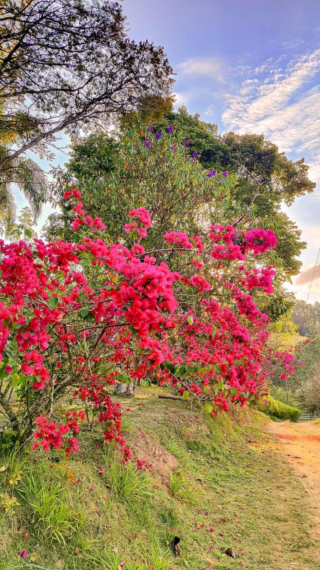 Pousada Colar De Ouro Chales Cunha Exteriér fotografie