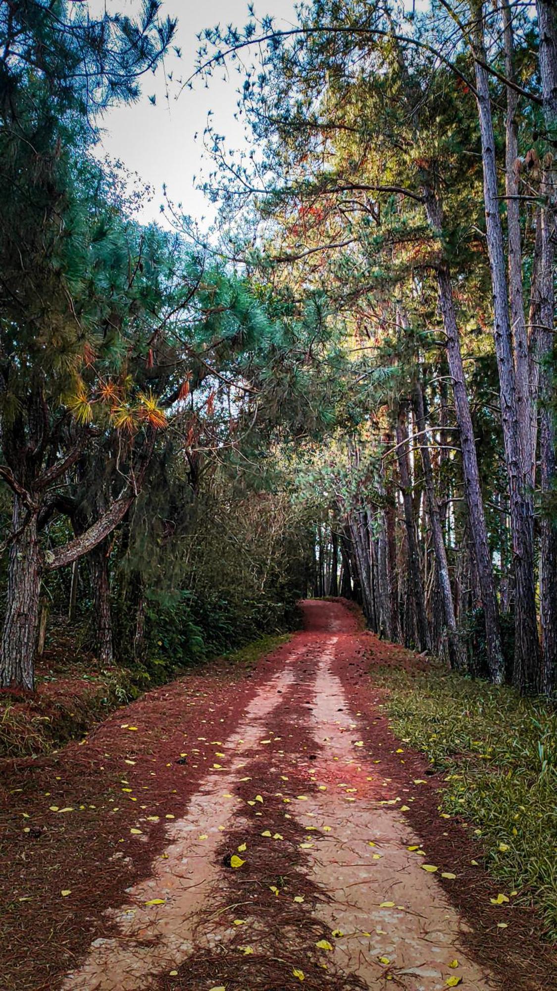 Pousada Colar De Ouro Chales Cunha Exteriér fotografie